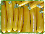 colorful zucchini