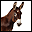 donkey